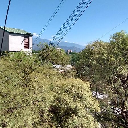 Апартаменты Acogedor Departamento Frente Al Parque Civico Мендоса Экстерьер фото